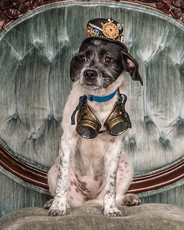 Foster Billie-8159