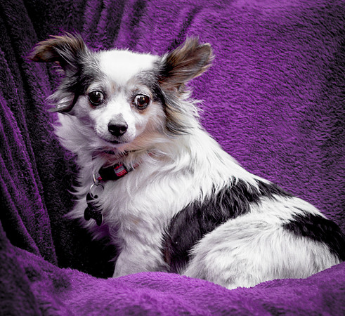 Foster Anouk-8762