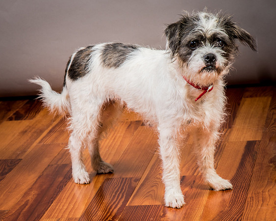 Foster Leeza-2826