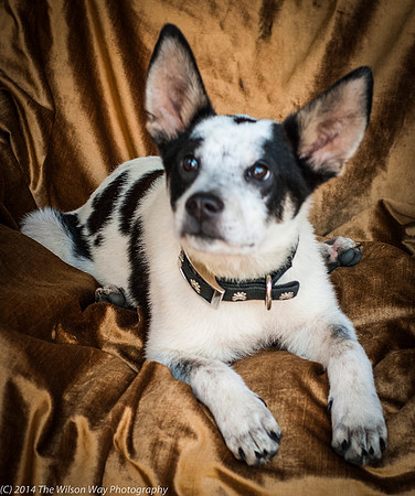 Foster Oliver-8958