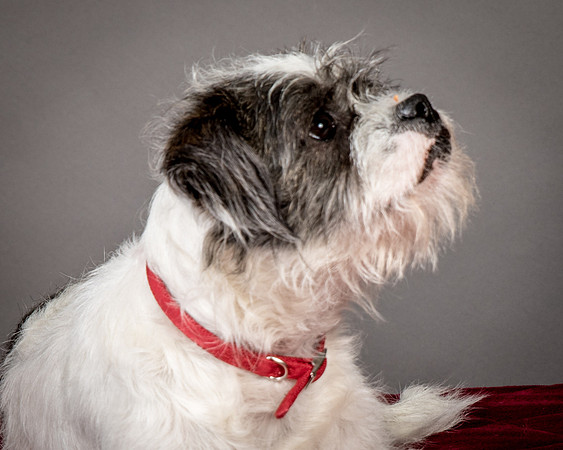 Foster Leeza-2730