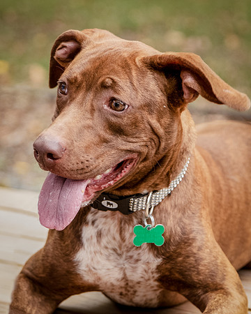 Foster Caitlyn4852