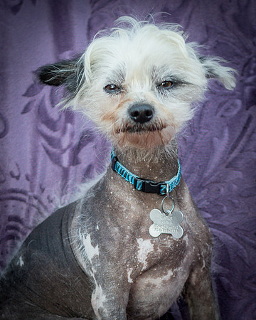 Foster Freckles-5420