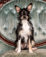 Foster Riley-4832