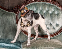 Foster Billie-8128