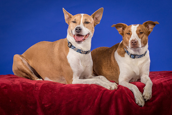 Urschel-Ethel and Ruby-9733