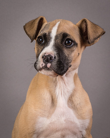 Foster Barnabas-4526