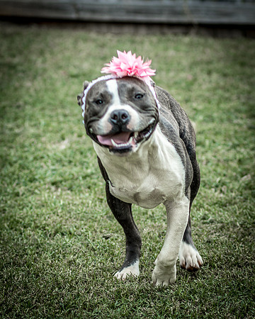 Foster Maya-0352