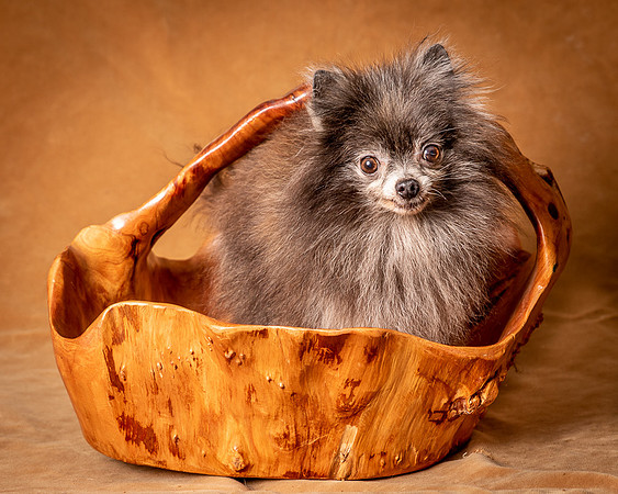Foster Loretta-1333