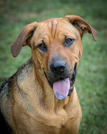 Foster Maya-0421