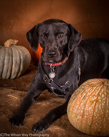 Foster Charles-5168