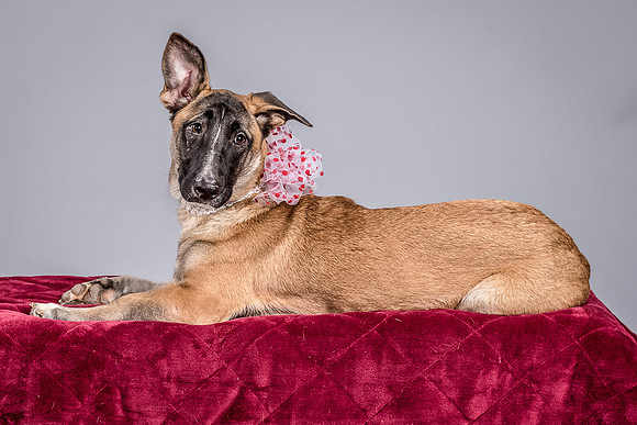 Foster Gabby-3947