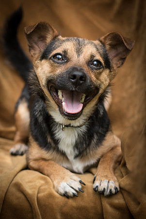 Foster Calvin-0852