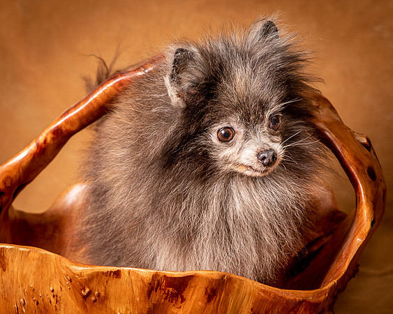 Foster Loretta-1323