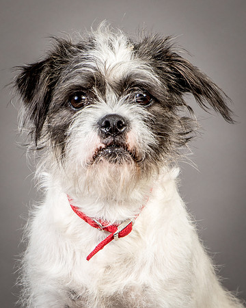 Foster Leeza-2675