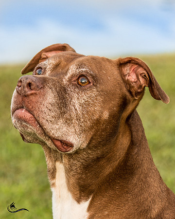 cajun head shot -0721