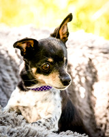 Foster Leela-7936