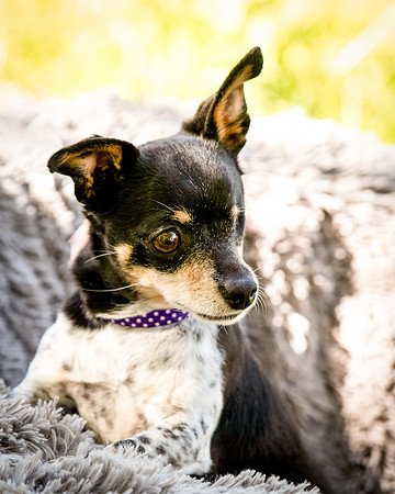 Foster Leela-7936
