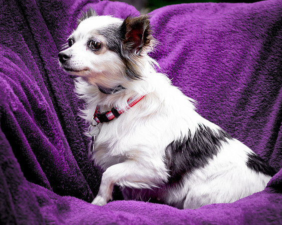 Foster Anouk-8794