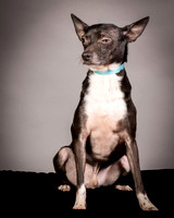 Foster Luc-9653