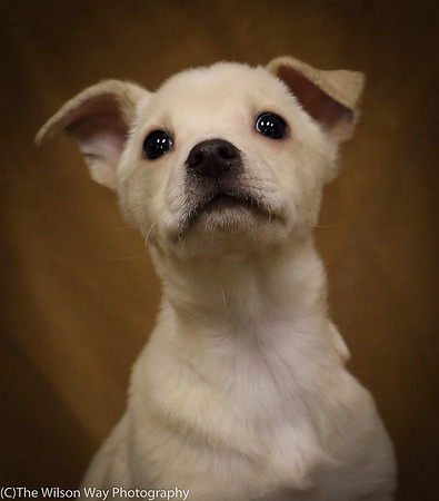 Foster Signey-0277