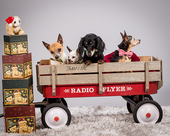 Foster Hospice Gang-3923