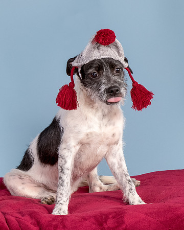 Foster Billie-8252