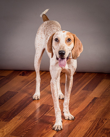 Foster Memphis-3108