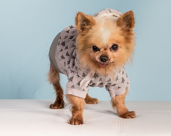 Foster Horace-0903