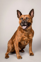 Foster Beans-2257