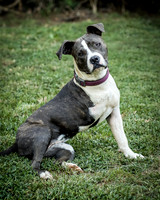 Foster Maya-0220