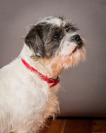 Foster Leeza-2836