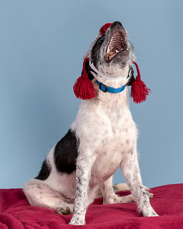 Foster Billie-8247