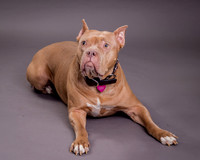 Maggie Griner-7496