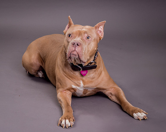 Maggie Griner-7496