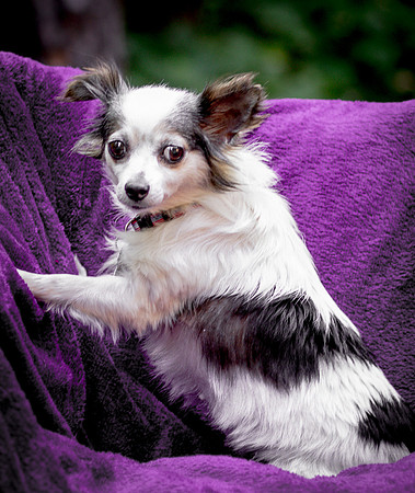 Foster Anouk-8770