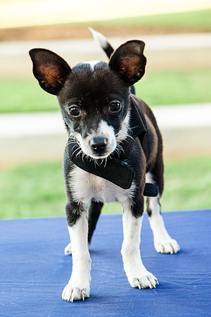 Foster Laila-9773