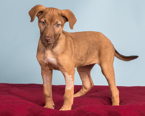 Foster Bronwyn-8391