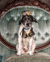 Foster Billie-8154