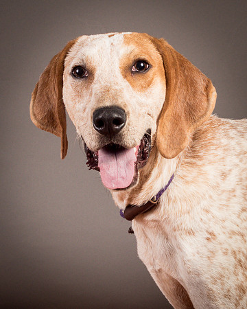 Foster Memphis-3096