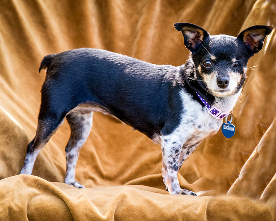 Foster Leela-8035