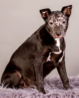 Foster Kendal-8767