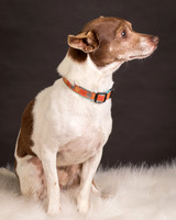 Foster Gus-0288