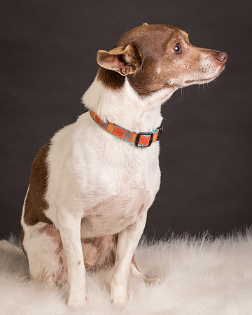 Foster Gus-0288