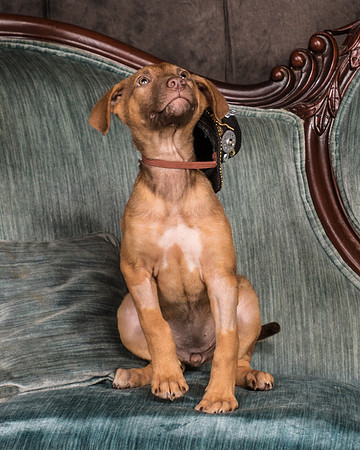 Foster Bronwyn-8318