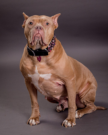 Maggie Griner-7650