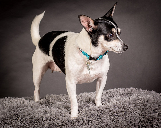 Foster Richa-0444