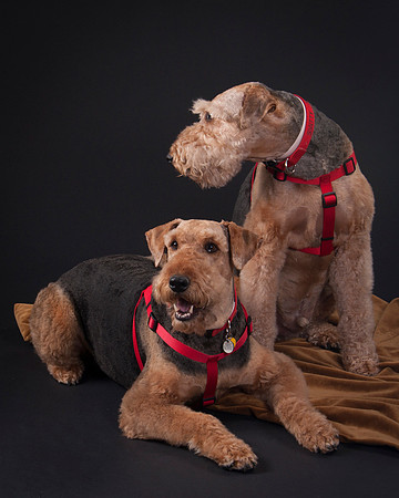 Martha May & Smitty-5207