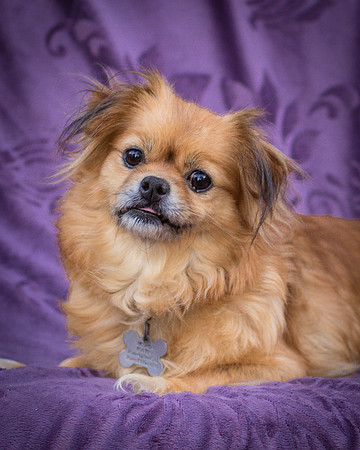 Foster Tia Maria-7843
