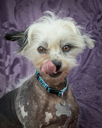 Foster Freckles-5407